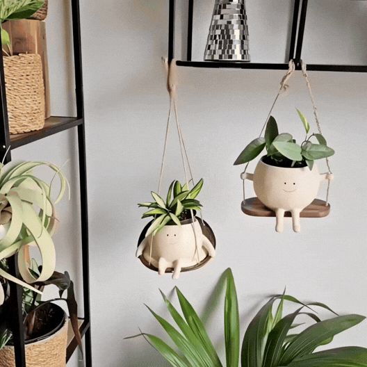 Sproutie hanging